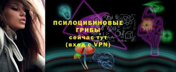 прущие крисы Корсаков