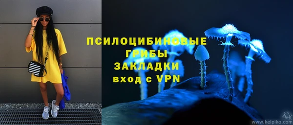 каннабис Коряжма