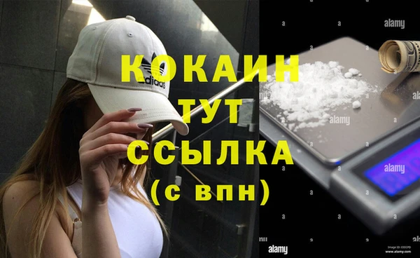 прущие крисы Корсаков