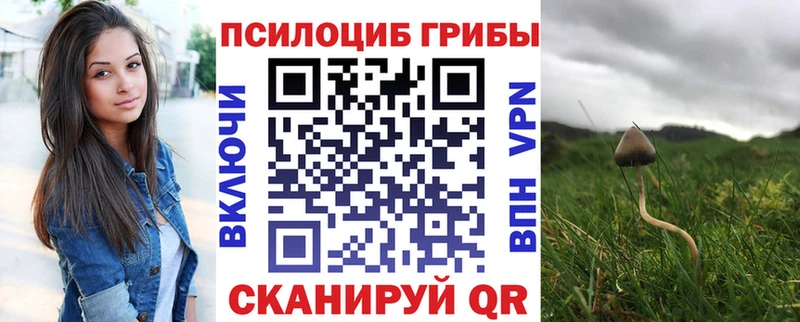 Псилоцибиновые грибы MAGIC MUSHROOMS Невель